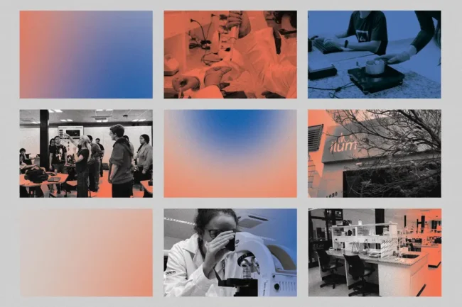 SI_471_Fabrica_de_cerebros