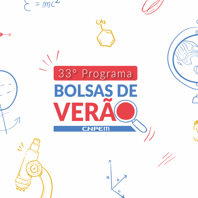 33 bolsa de verao